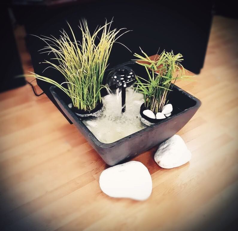 56158052_10215925800831195_2851087591317438464_n