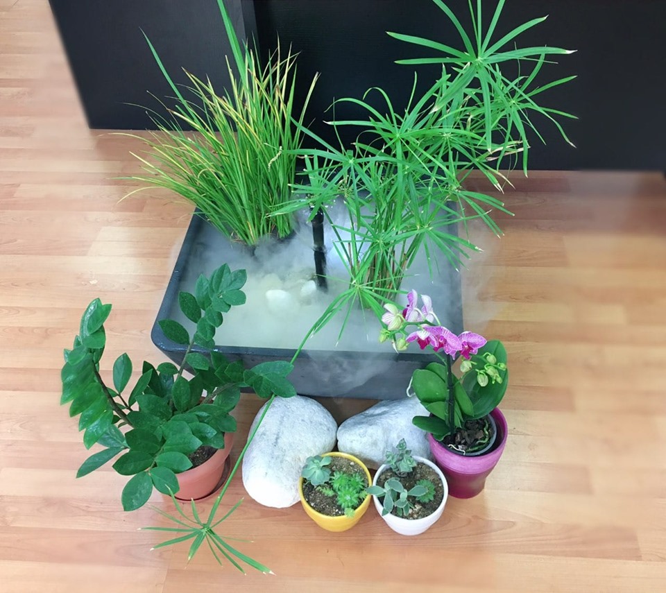 60987989_10216304450097190_7473826828340166656_n_zm4x-v5